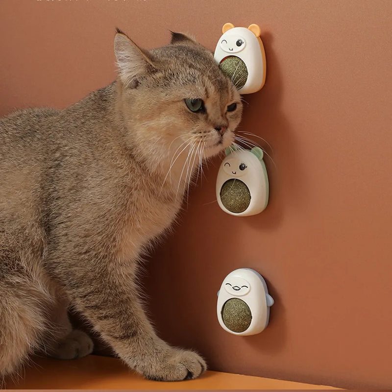 brinquedo bola de parede brinquedo do gato brinquedo rotativo gatinho dentes limpeza brinquedos comestíveis