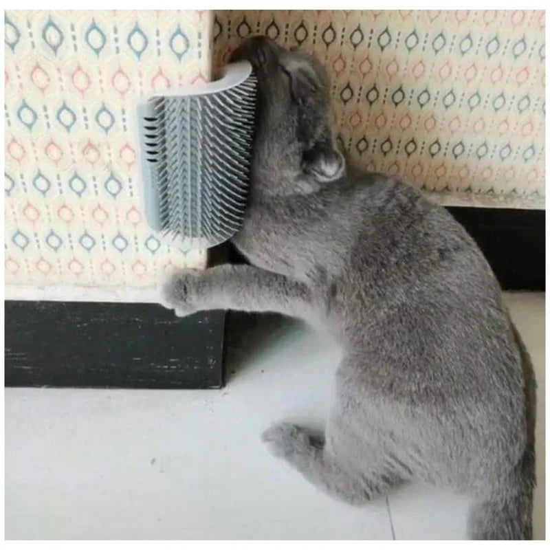 Escova pet escova catnip gato tira parede brinquedo de massagem
