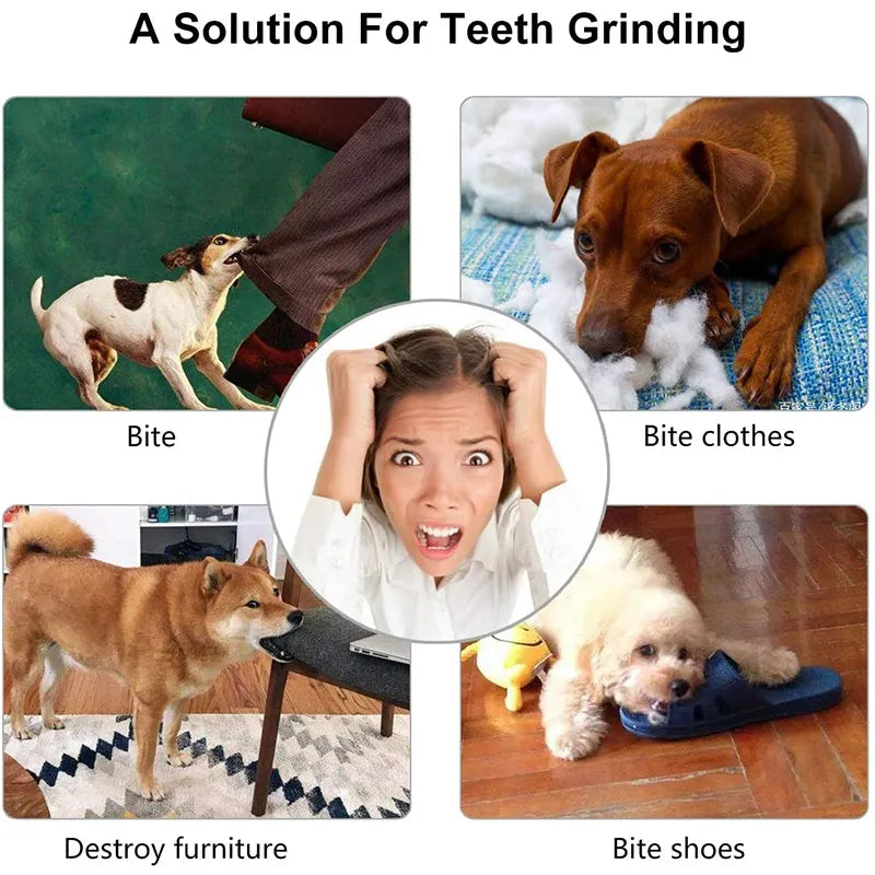 Bola de brinquedo para cães pequenos, elasticidade interativa, brinquedo de mastigar para limpeza dos dentes, bola de comida